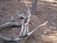 Wild Country Hike 010.webp