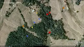 old farm 4.1.webp