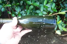Nice Turnmold Bottle (Real Common).webp