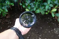Bottom of the Turnmold bottle.webp