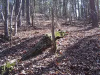 Wild Country Hike 003.webp