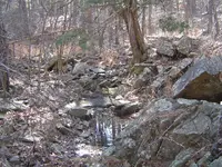 Wild Country Hike 005.webp