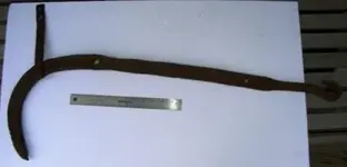 DSCN3439.webp