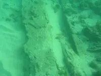 wreck3.webp