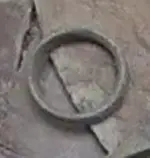 Ring.webp