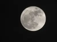 Perigee02.webp