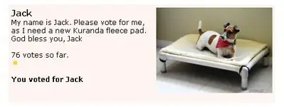 Vote for Jack.webp