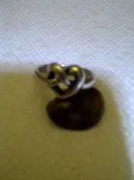 silver ring.webp