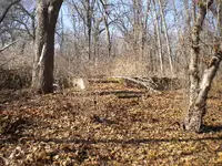 DSCN0546.webp