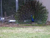 P2280404.webp