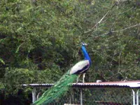 P2280405.webp