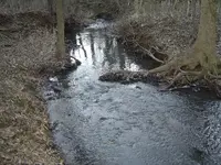 After The Thaw 011.webp