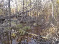 After The Thaw 006.webp