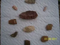 100_1003.webp