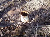After The Thaw 004.webp