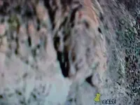 CAVE.webp