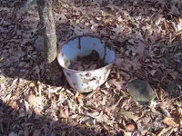 After The Thaw 001.webp