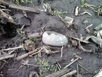 Thumba_2011-02-21_07-16-21.webp