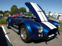 P9290154 (Medium).webp