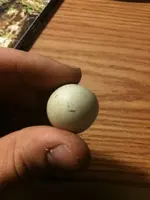 ball.webp
