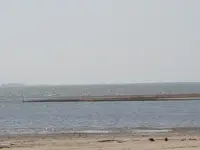 020.webp