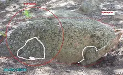 Copy of Other side of bear 2010 271www.webp