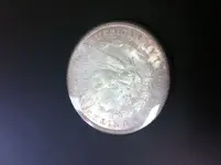 1902 Dollar Back.webp