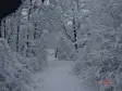 avatar_44195.webp