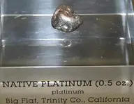 nugget_platinum shiny.webp