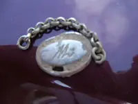 2011_0220TMIHunt0028.webp