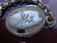 2011_0220TMIHunt0029.webp