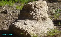 Closer view of  boot  2010 251.webp