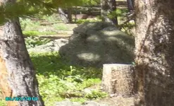 Boot points to bird 2010 254.webp