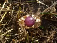gold ring1.webp