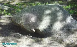 Side of bear 2010 269.webp