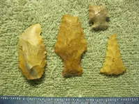 IMG_0203.webp