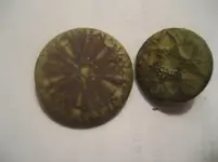 buttons.webp
