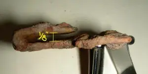 DSCN3569.webp