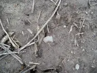 P1010283.webp