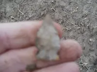 P1010284.webp