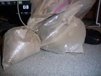 100_0585.webp