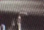 cat1SMALL.webp