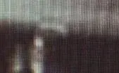 cat2SMALL.webp