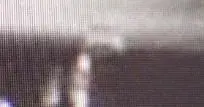 cat3SMALL.webp
