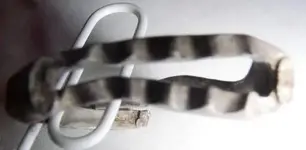 ring2.webp