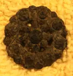 DSC01841.webp