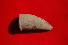 Effigy Pipe.webp