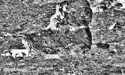 Eye catcher boot 2010 250-neg.webp