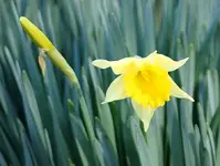 DSC04242.webp