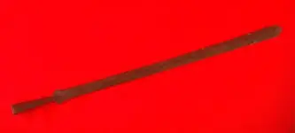 DSCN7034.webp
